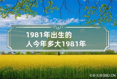 1981出生|1981年今年多大